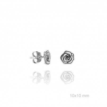 Boucles d'oreilles en Argent