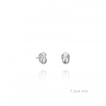 Boucles d'oreilles en Argent