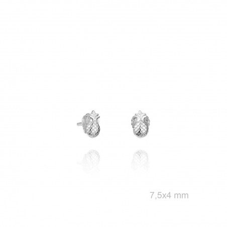 Boucles d'oreilles en Argent