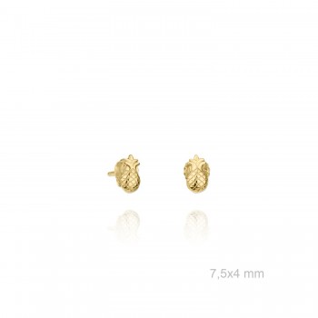 Pendientes Presión Piña...