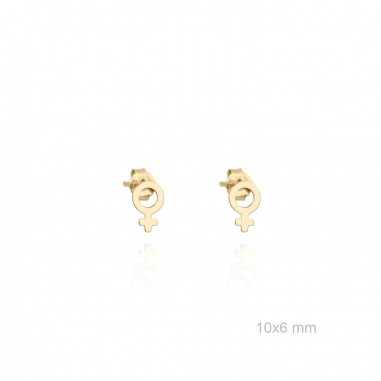 Boucles d'oreilles en Argent