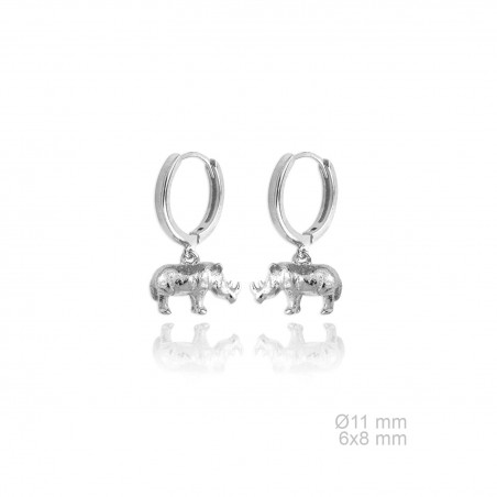 Boucles d'oreilles en Argent