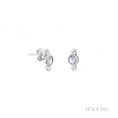 Silver Earrings with Cubir Zirconium 