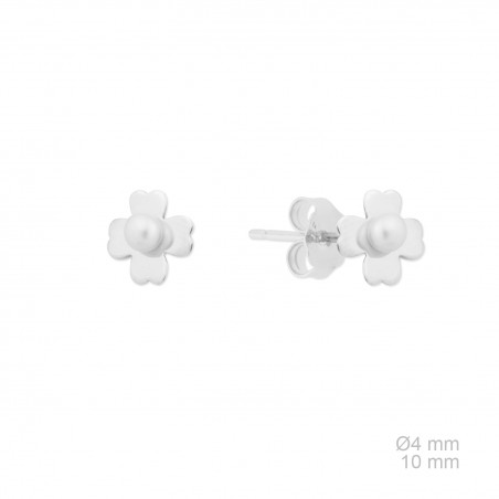 Boucles d'oreilles en Argent