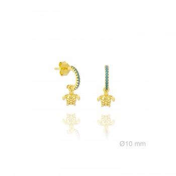 Boucles d'oreilles en Argent