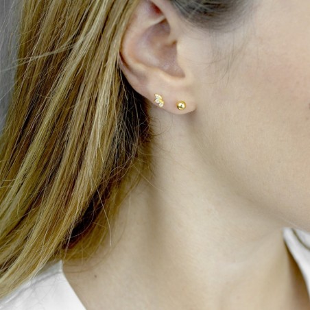 Boucles d'oreilles en Argent