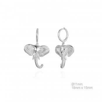Earrings Sterling silver