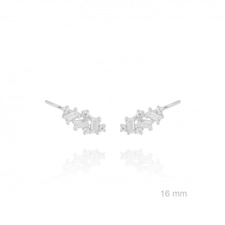 Grimpeurs d'oreille en Argent
