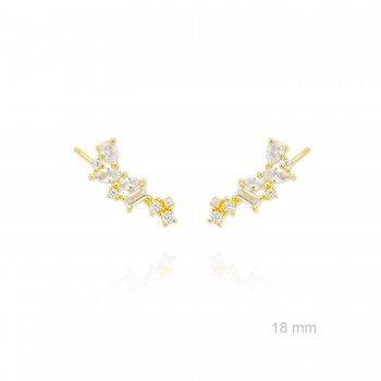 Grimpeurs d'oreille en Argent