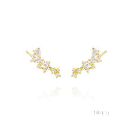 Grimpeurs d'oreille en Argent