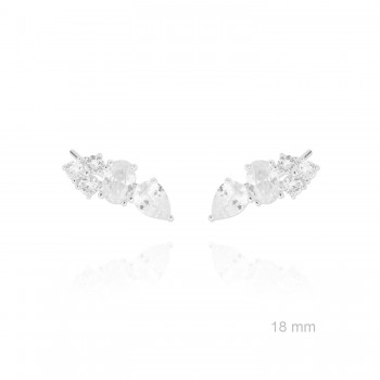 Grimpeurs d'oreille en Argent