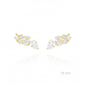 Grimpeurs d'oreille en Argent