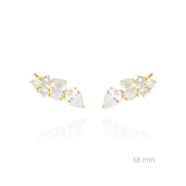 Grimpeurs d'oreille en Argent