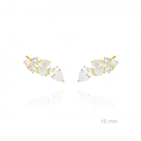 Grimpeurs d'oreille en Argent