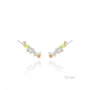 Grimpeurs d'oreille en Argent