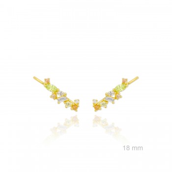 Grimpeurs d'oreille en Argent