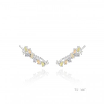 Grimpeurs d'oreille en Argent