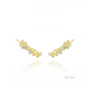 Grimpeurs d'oreille en Argent