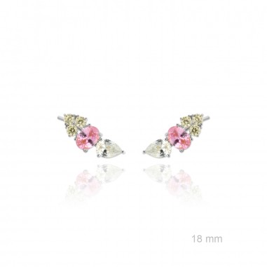 Grimpeurs d'oreille en Argent