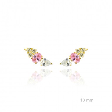 Grimpeurs d'oreille en Argent