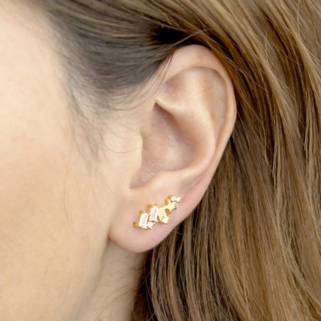 Trepador de Plata de Ley