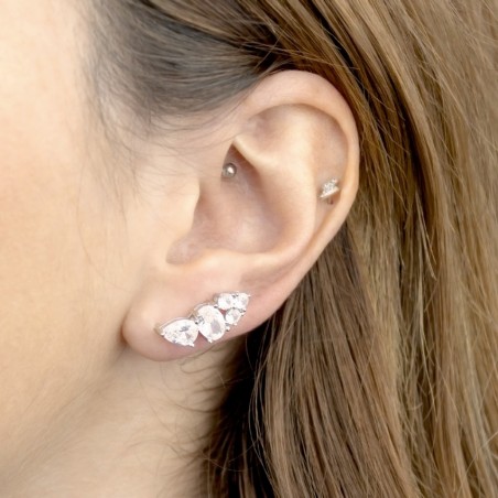 Silver Ear Climbers