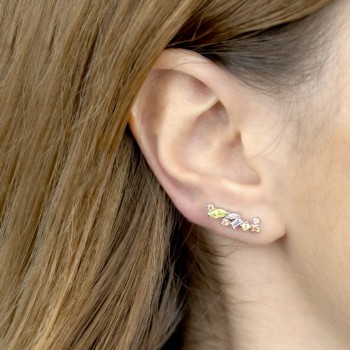 Silver Ear Climbers 2