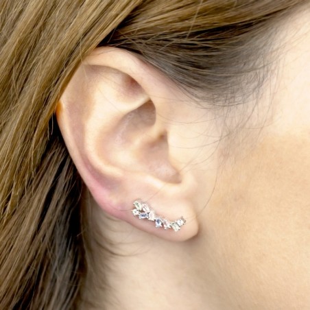 Silver Ear Climbers