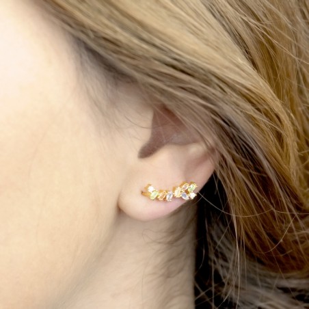 Trepador de Plata de Ley