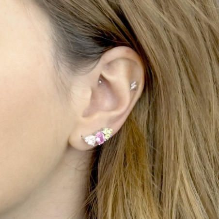 Silver Ear Climbers