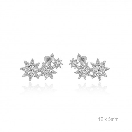 Boucles d'oreilles Zircons