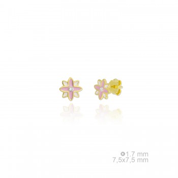 Pendientes de Plata de Ley 