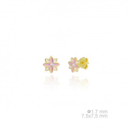 Boucles d'oreilles en argent