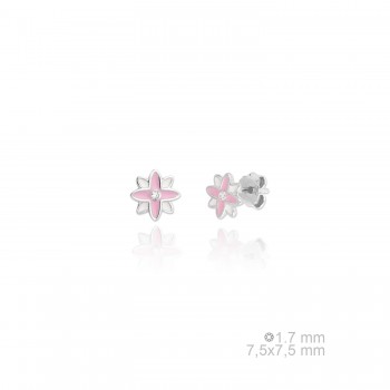 Pendientes de Plata de Ley 