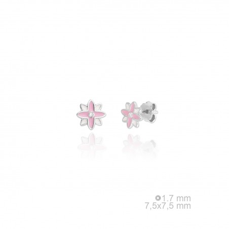 Boucles d'oreilles en argent