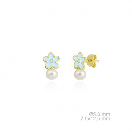 Pendientes de Plata de Ley 