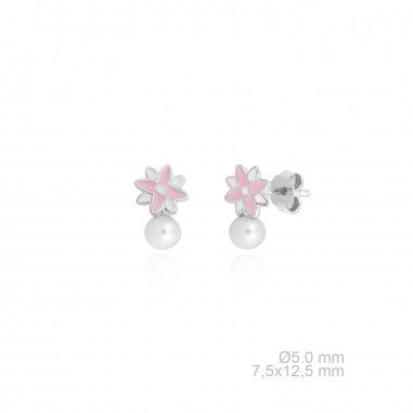 Pendientes de Plata de Ley