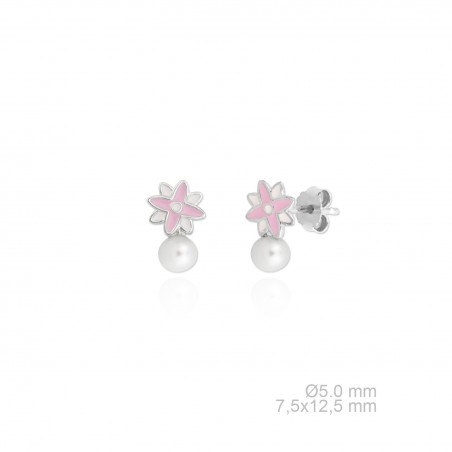 Pendientes de Plata de Ley