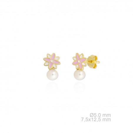 Pendientes de Plata de Ley 