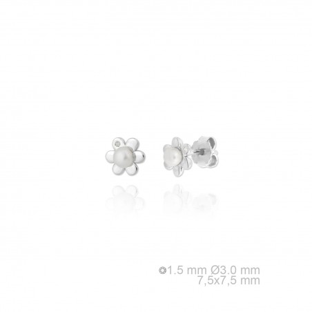 Boucles d'oreilles en argent