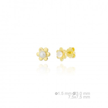 Boucles d'oreilles en argent