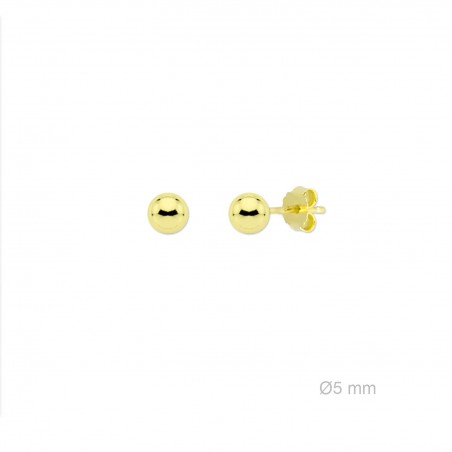 Boucles d'oreilles en Argent