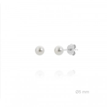 Silver Earrings with shell...