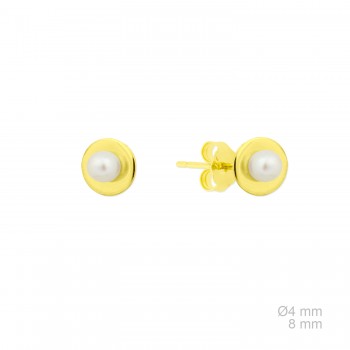 Boucles d'oreilles en Argent