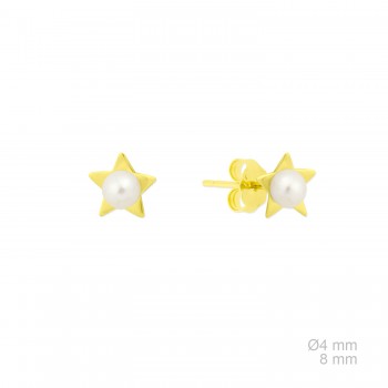 Boucles d'oreilles en Argent