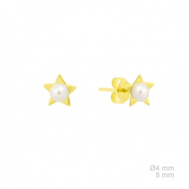 Pendientes de Plata de Ley 