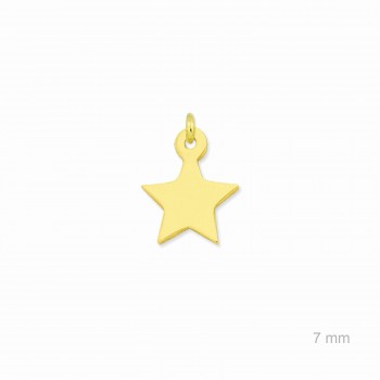 Charm de Plata de Ley...