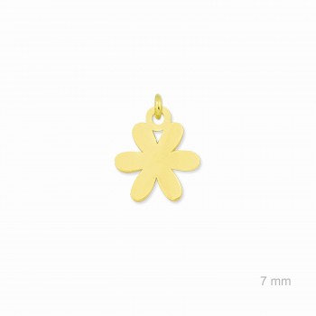 Charm de Plata de Ley...