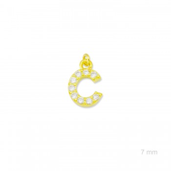 Charm de Plata de Ley...