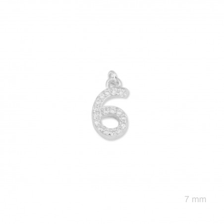 Charm de Plata de Ley (Número 6)